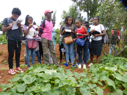 Gdb insertionpro 18  r