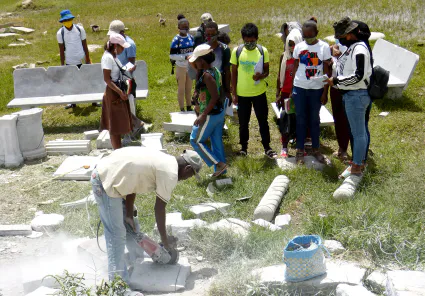 Gdb insertionpro 20  r