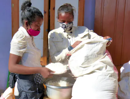 Gdb insertionpro 31 8r