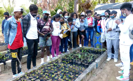 Gdb insertionpro 44  r