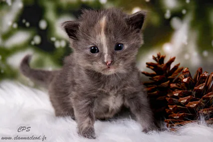 322393257 893154748536631 3022228879237491008 n