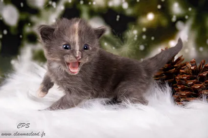 323424404 496458432620012 1280732902622193796 n