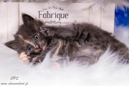 328437623 724693952357693 8489339106840600769 n