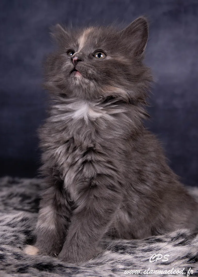 329931972 540787624787261 3291281942510456904 n