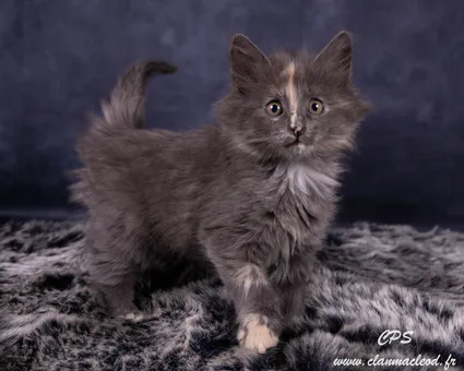 330397355 1534487867032957 729606005140208911 n