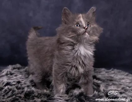 331581856 912363909804612 6875331297875099459 n