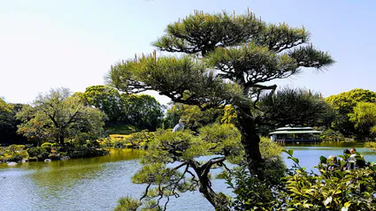 20180409 101137 effects