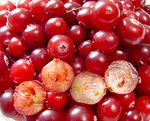 220px Cranberries