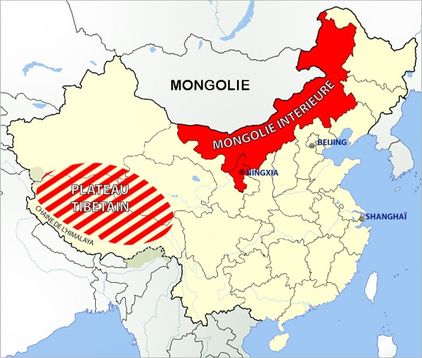 Goji du tibet et de mongolie interieure un superfruit aux milles bienfaits