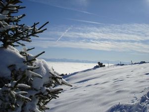Crêtes du Jura neuchâtelois en Suisse / Photos de Suisse en hiver