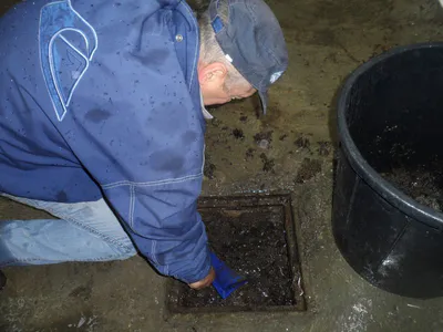 Il pleut on debouche 6