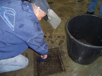 Il pleut on debouche 7