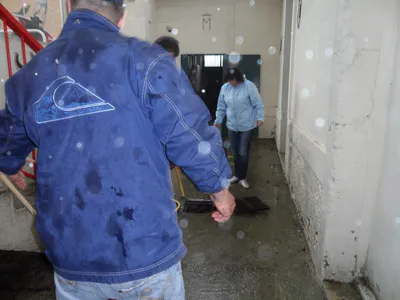 Il pleut on debouche 15