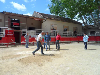 La danse de la sciure 3