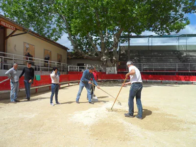 La danse de la sciure 5