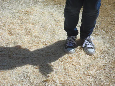 La danse de la sciure 11