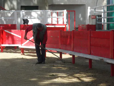 La danse de la sciure 14