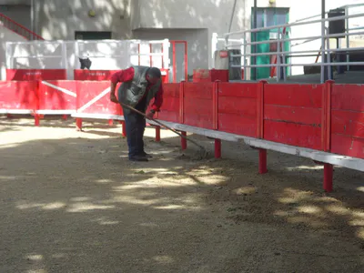 La danse de la sciure 16