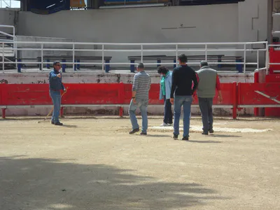 La danse de la sciure 20