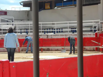 La danse de la sciure 22