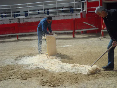 La danse de la sciure 23