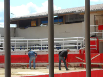 La danse de la sciure 24