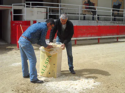 La danse de la sciure 26