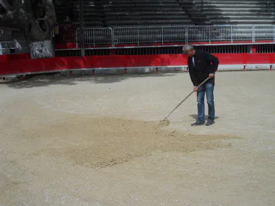 La danse de la sciure 27