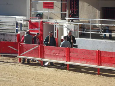 La danse de la sciure 28