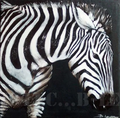 Zebre