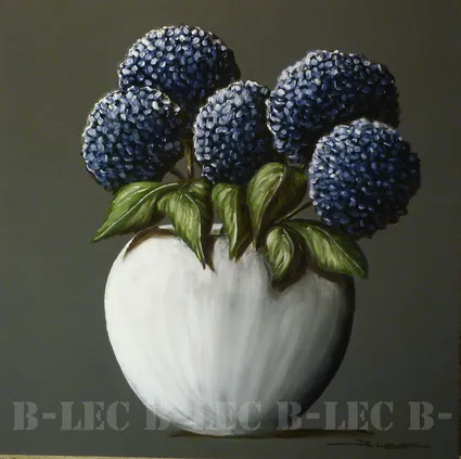 Hortensias pot blanc