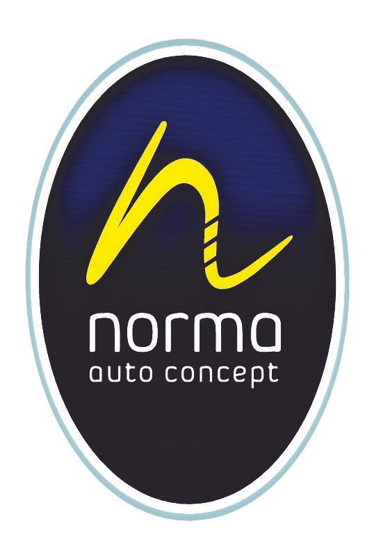 Logo norma