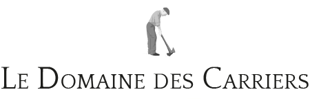 Logo domaine des carrier 3