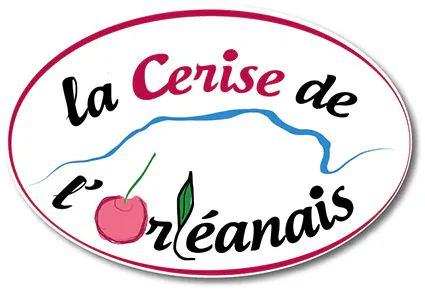 Cerise orleanais