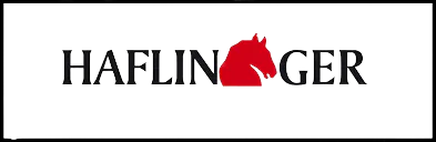 Haflinger removebg preview