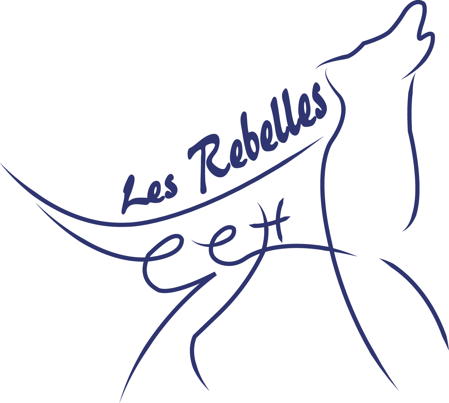 Logo cch bleu