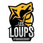 Logo-basket-club-haraucourt