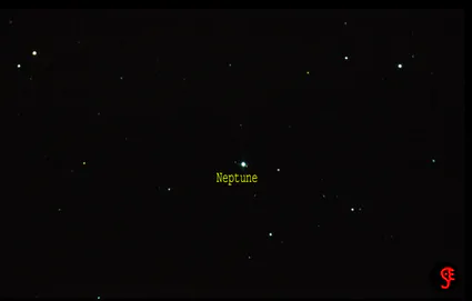 Neptune triton jcc 16 09 2012