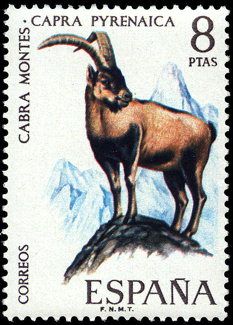 1971 fauna