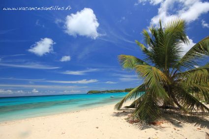 Plage anse photo arriere