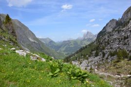 Réserve naturelle du Vanil Noir dans les Préalpes fribourgeoises suisses / Photos of Switzerland