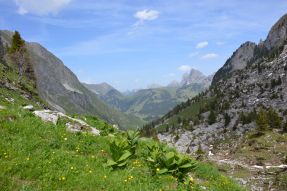 Réserve naturelle du Vanil Noir dans les Préalpes fribourgeoises suisses / Photos of Switzerland