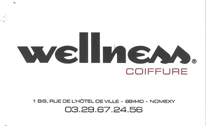 Wellnesscoiff