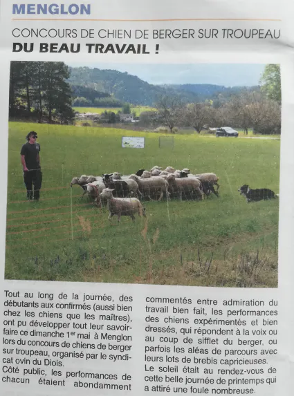 Concours Chiens de berger