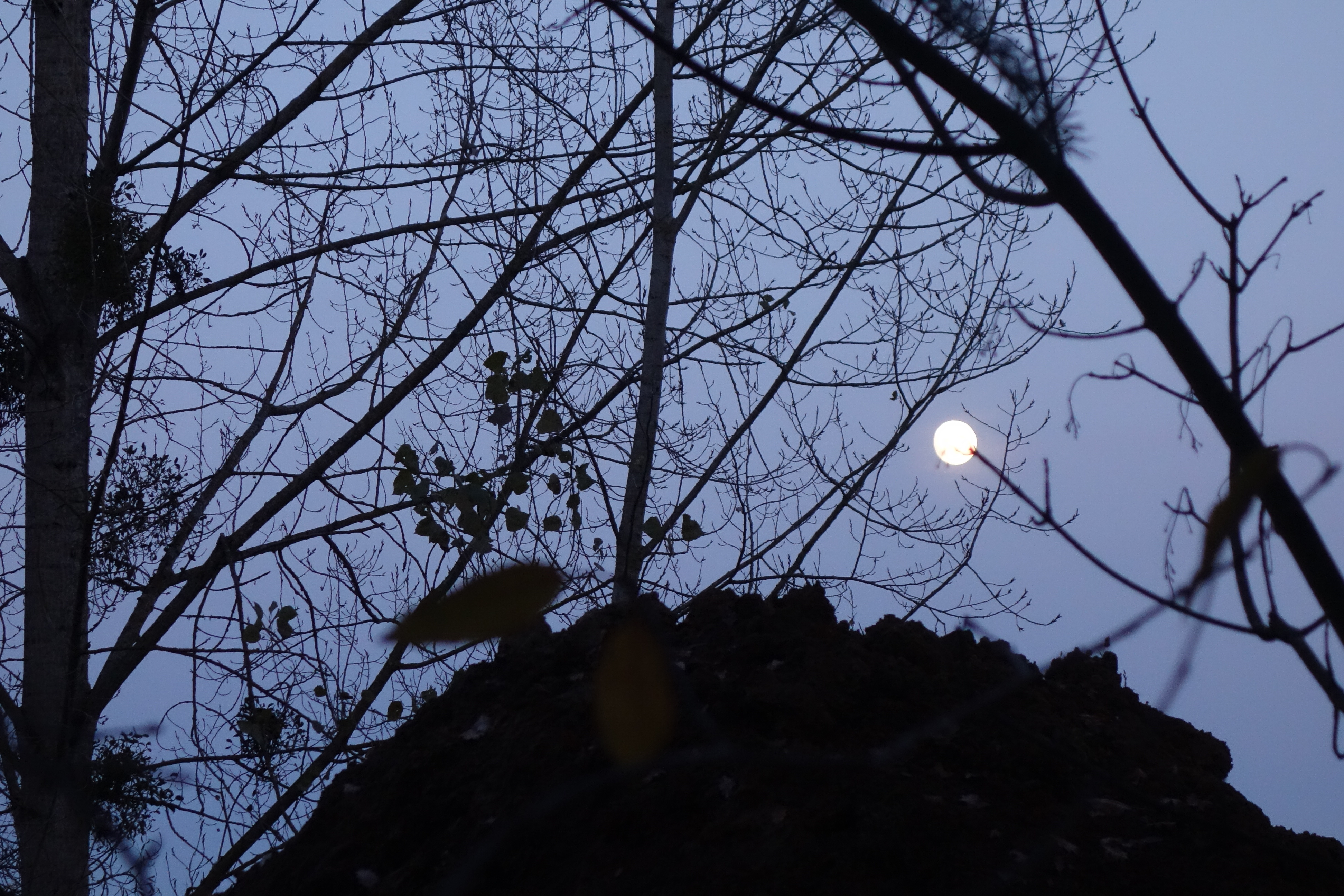 8 jeux de lune