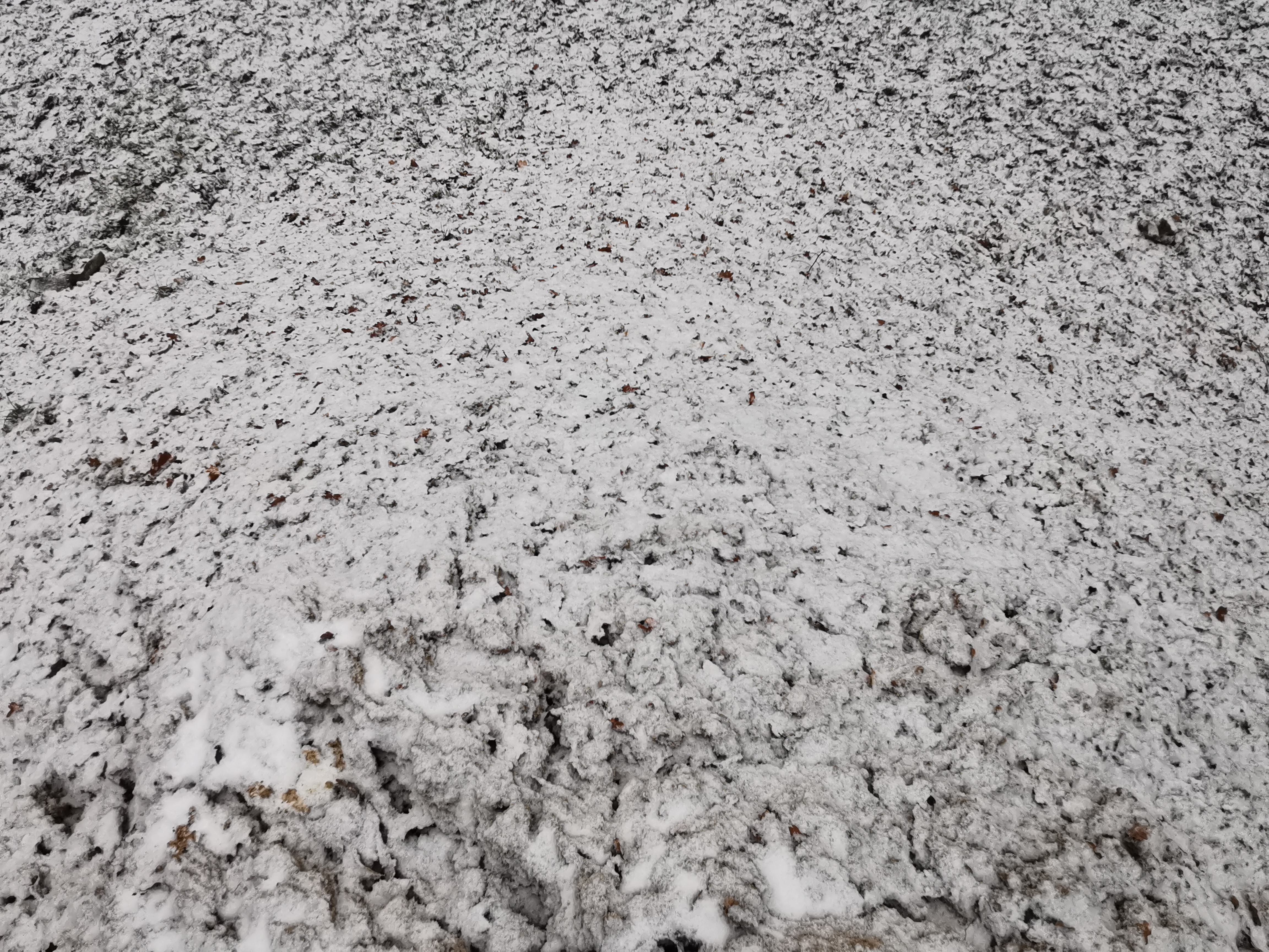 37 du sommet neige