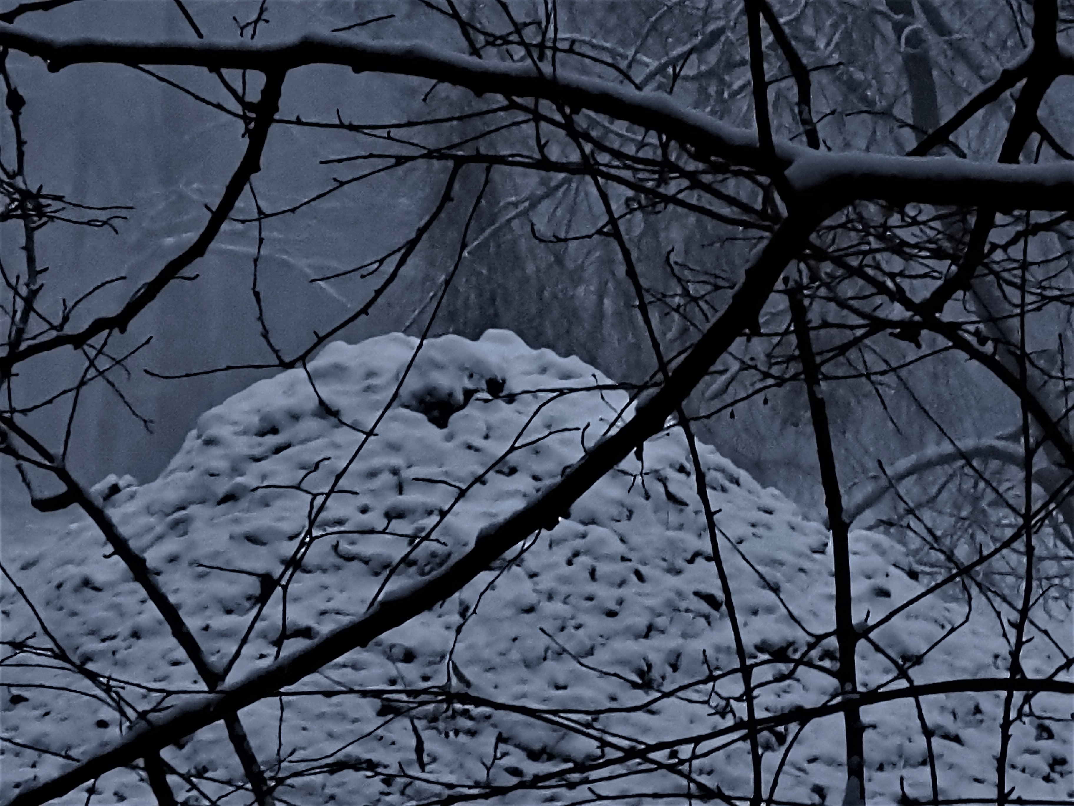 50 sommet neige