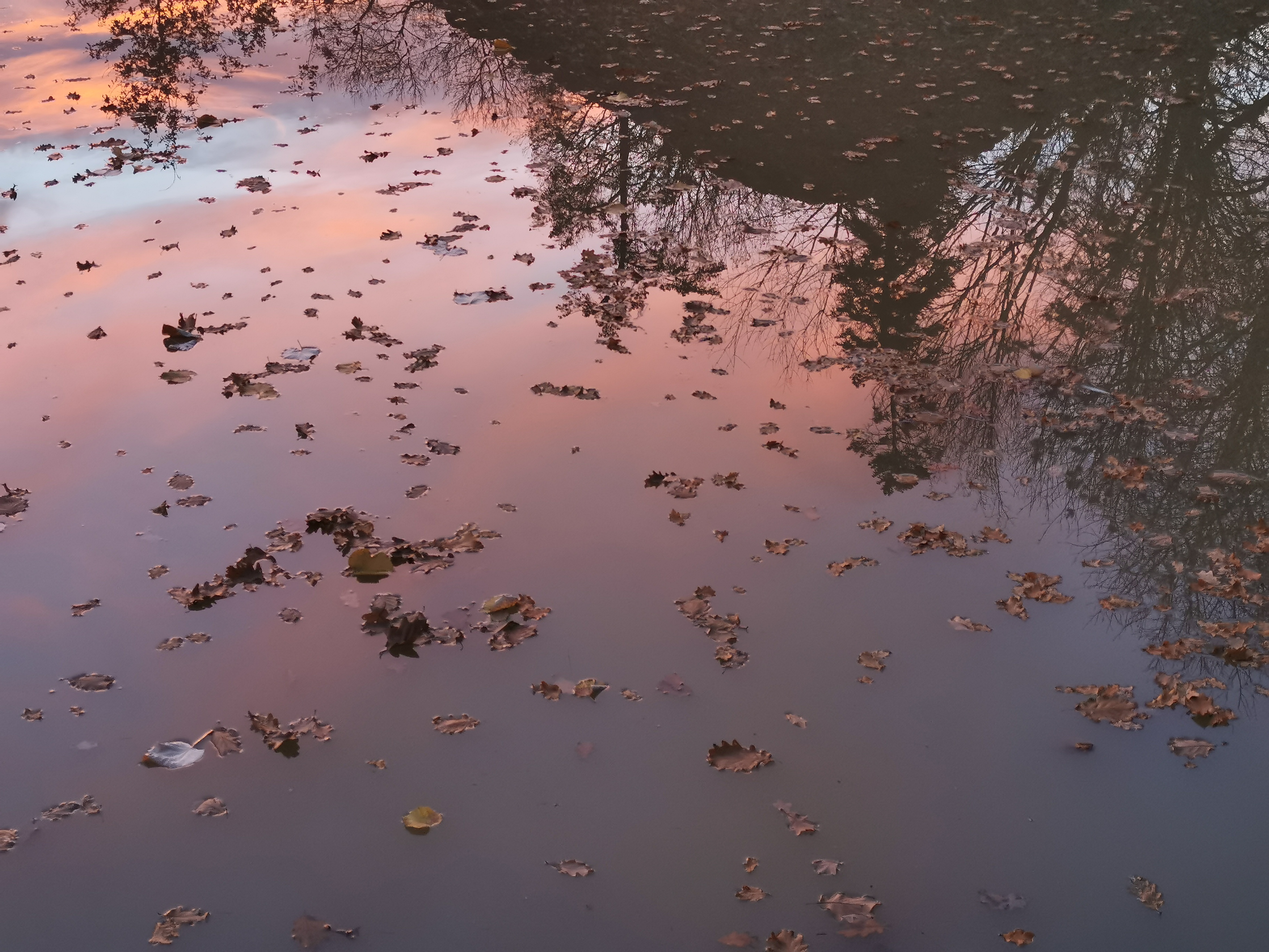 Tain froid de l aube