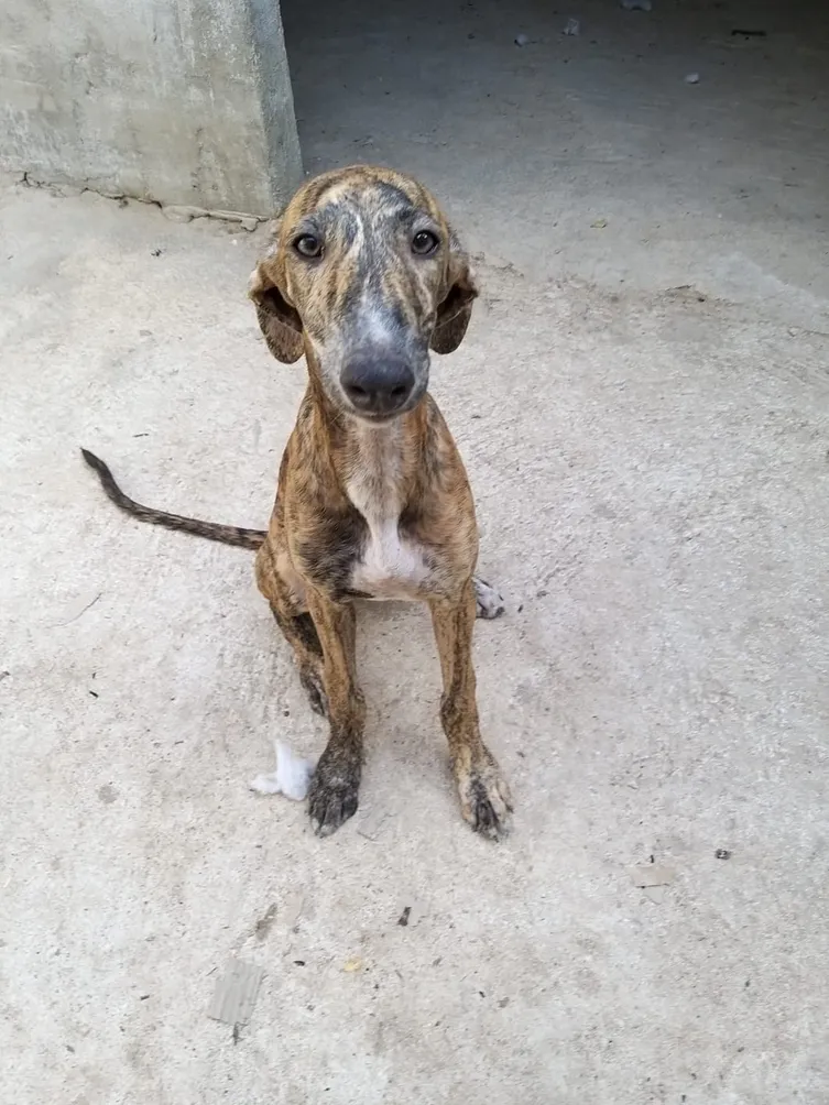 611cacc5ee62a267220835