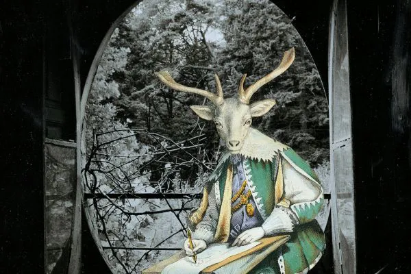 Quoi de Beau ? Février 2025